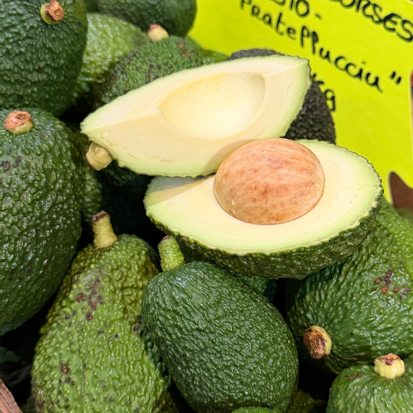 Avocat corse "u Pratellucciu"